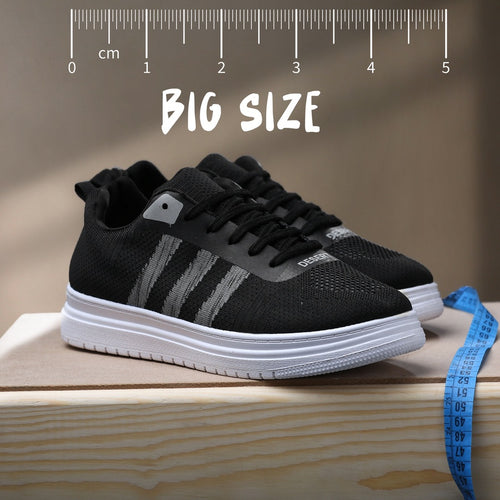 Big Size2