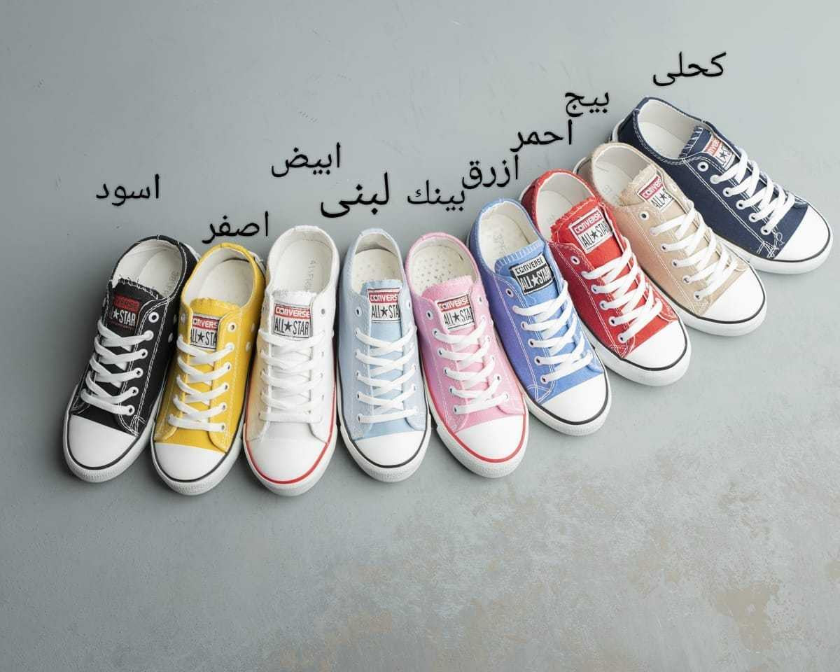 الكونفيرس الحريمي (مخزن 17)